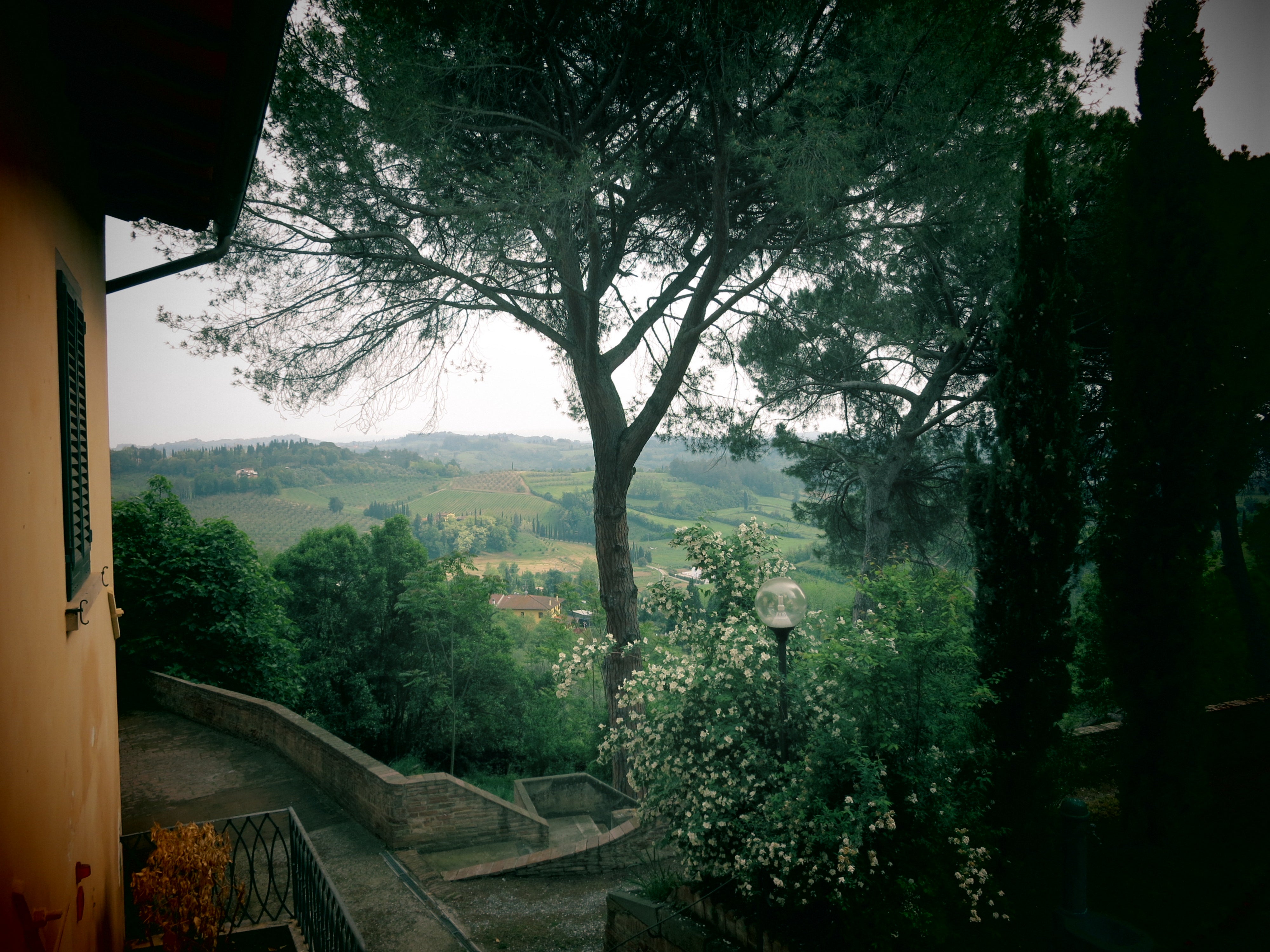 debunking leather myths and eating my way through italy