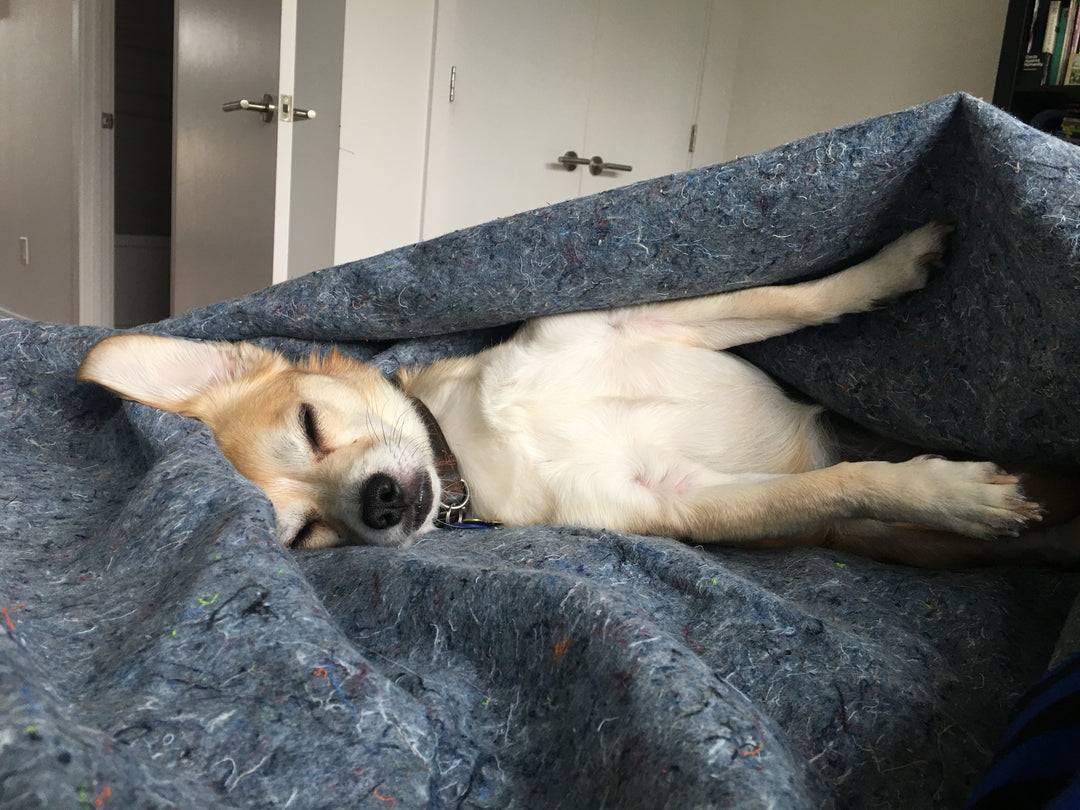 How to Move Cross Country in a Pandemic