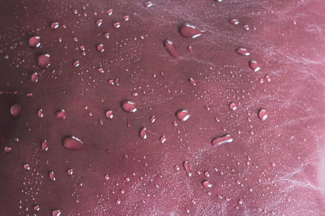 Vegan bags for women made in USA