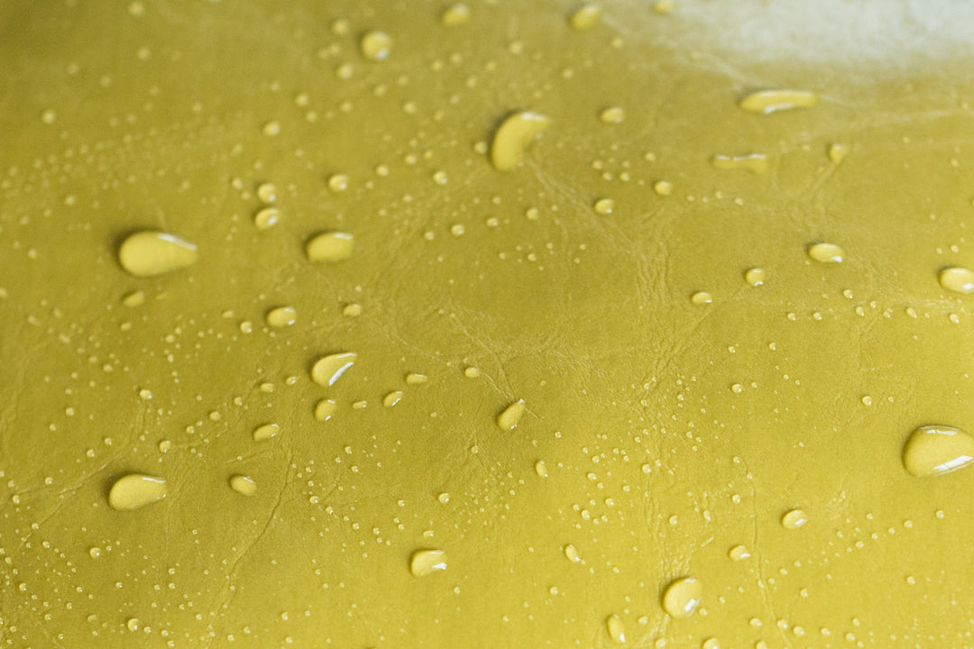 Citrine Green Glaze Coated Canvas Bags